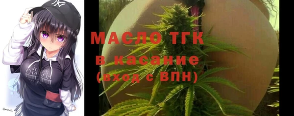 сатива Лабытнанги