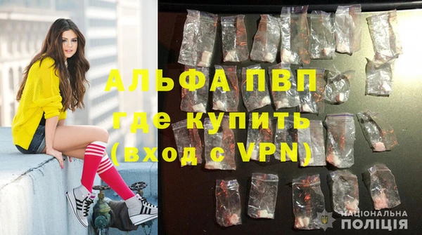 сатива Лабытнанги