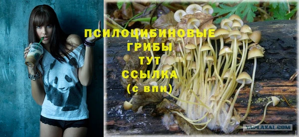 сатива Лабытнанги