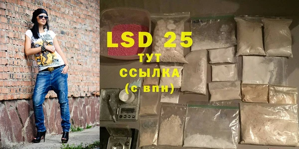 хмурый Лагань