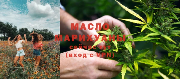 сатива Лабытнанги