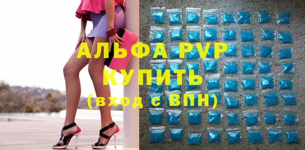 сатива Лабытнанги