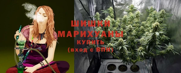 сатива Лабытнанги