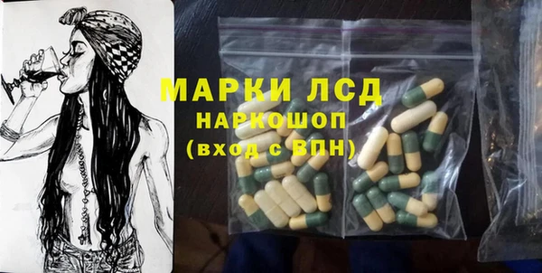 сатива Лабытнанги