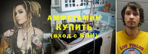 сатива Лабытнанги