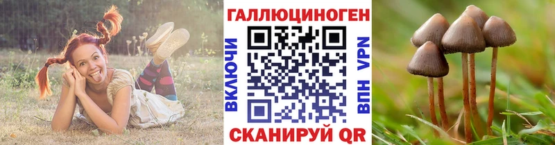 Галлюциногенные грибы ЛСД  Купить  Отрадное 