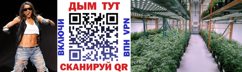 Купить  Отрадное  Бошки Шишки LSD WEED 