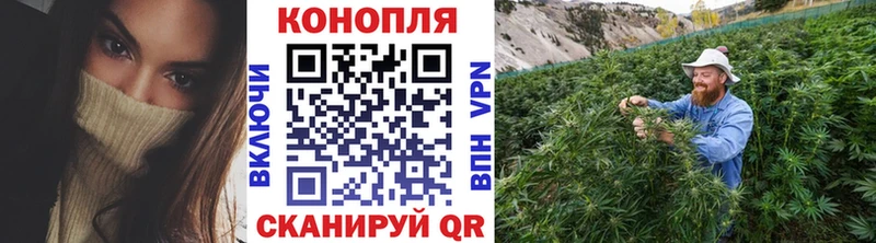 МАРИХУАНА VHQ Отрадное